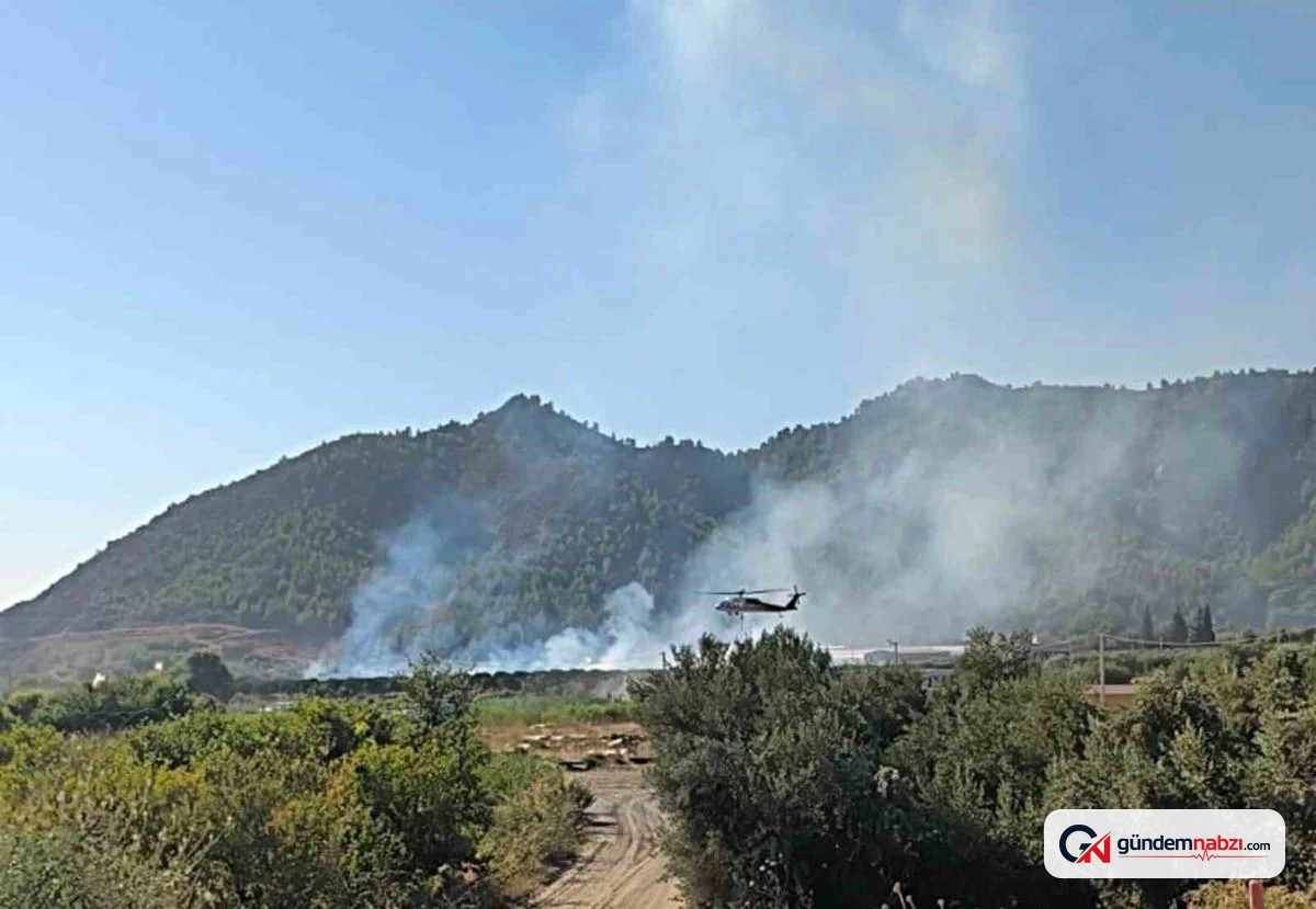 Muğla Dalaman'da tarım arazisindeki yangın söndürüldü