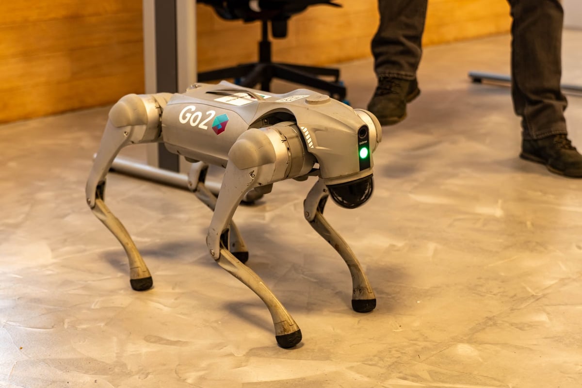 ABD, insansı robotları ulusal güvenlik riski ilan etti
