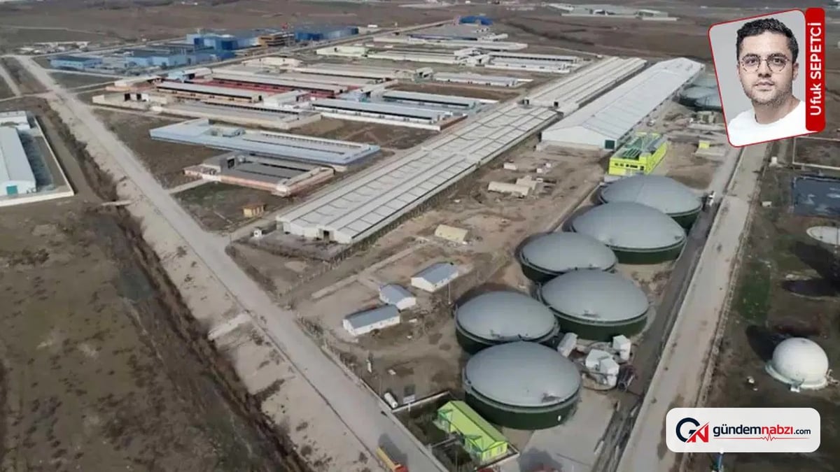 Ordu'daki mera projesine bilirkişi raporu: ÇED kararı mevzuata aykırı