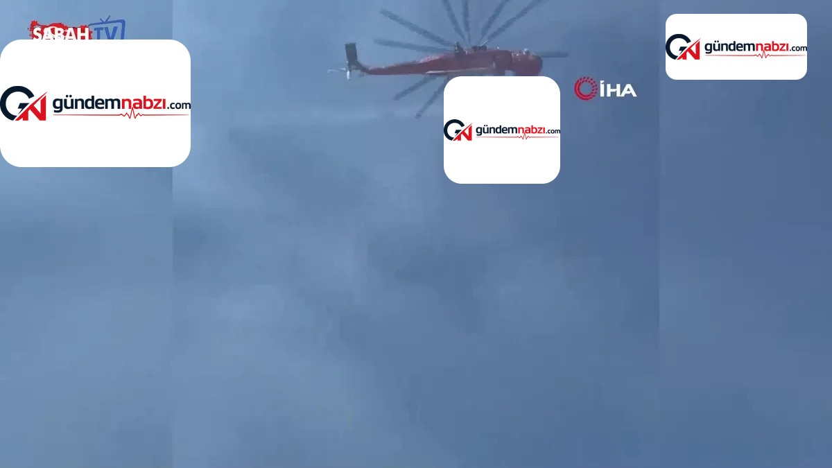 Balıkesir Sındırgı'da orman yangını çıktı