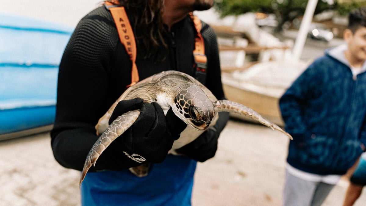 Antalya'da çuvala dolanan caretta caretta kurtarıldı