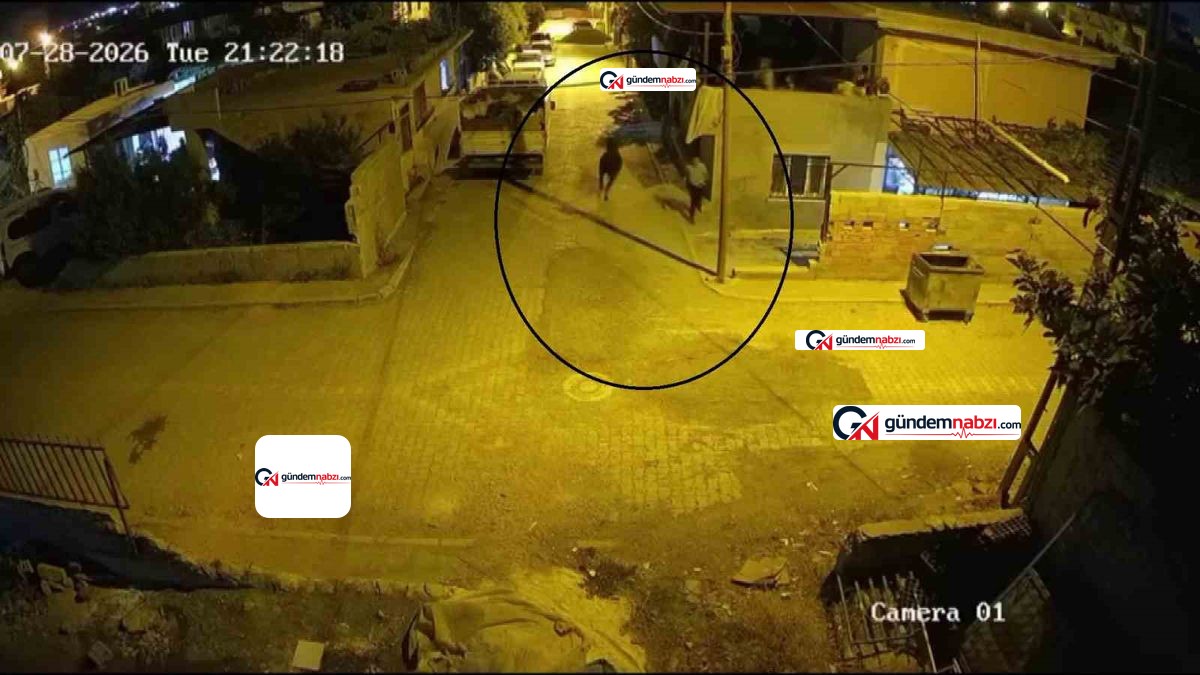 Hatay'da kaçan angus mahallede paniğe neden oldu