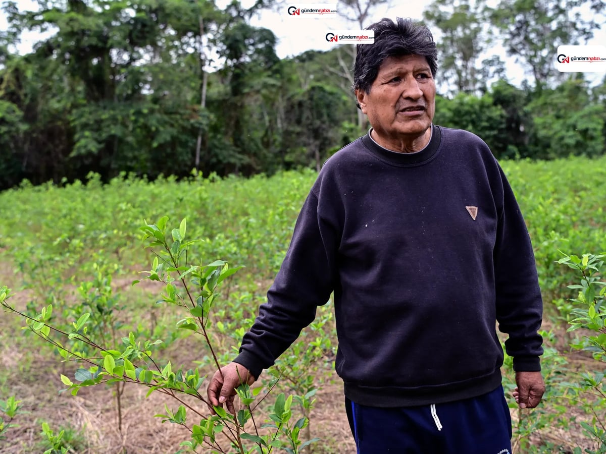 Bolivya'da eski Devlet başkanı Evo Morales hakkında yakalama kararı