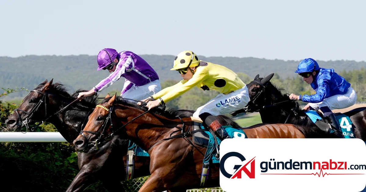 Bow Echo ve Billy Loughnane'den Goodwood'da unutulmaz zafer
