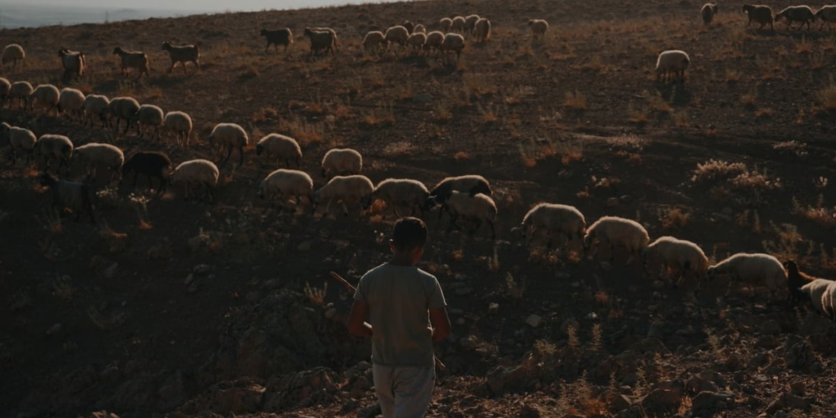 Siirt'te mera yangını: 50 dönüm zarar