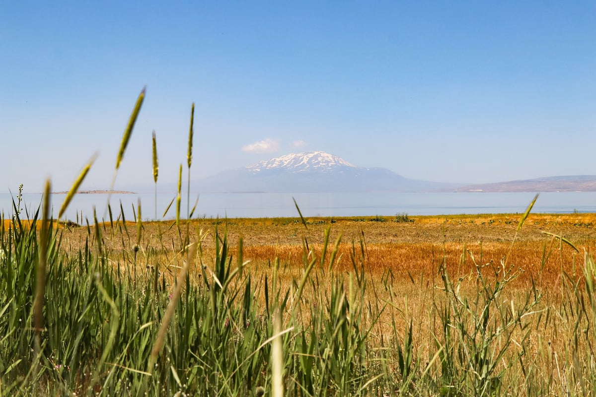 Ağrı Dağı kuzeydoğu rotası dağcıları ağırlıyor
