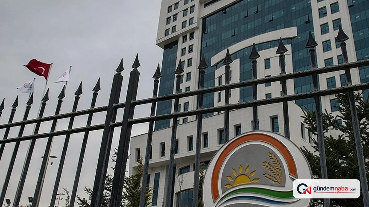 İthalat denetiminde yeni düzenleme: Gıda ürünleri listeye eklendi