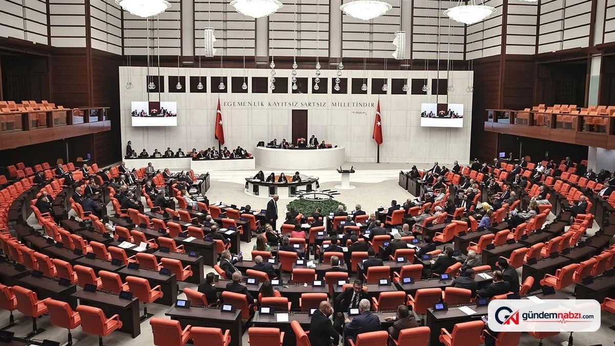 MHP'li Şanlıtürk: Ordu'da doğa katliamına izin vermeyeceğiz