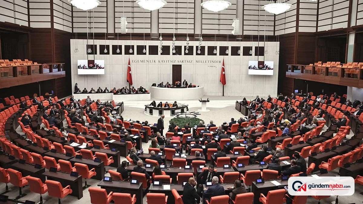 MHP'li Şanlıtürk: Ordu'da doğa katliamına izin vermeyeceğiz