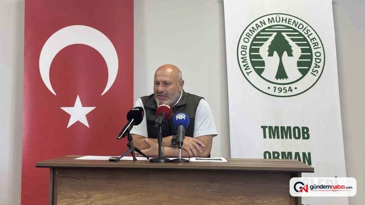 Orman Mühendisleri Odası: Türkiye yangınla mücadelede lider ülke