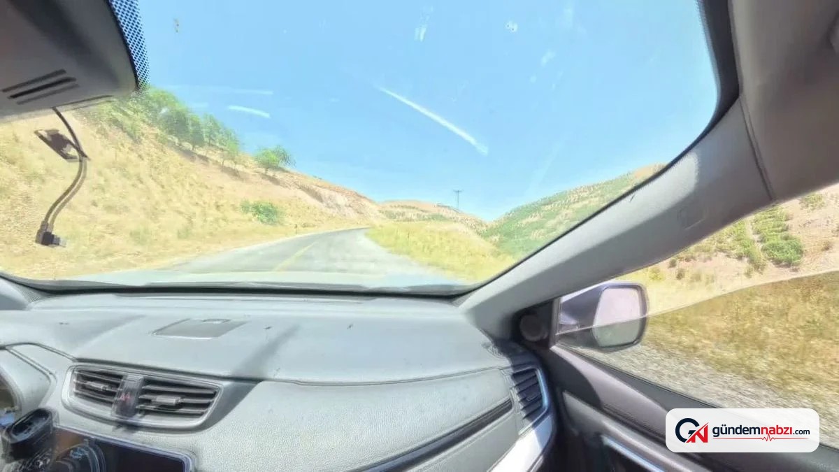 Malatya'nın kelebek çeşitliliği doğa fotoğrafçılarının lensine yansıdı
