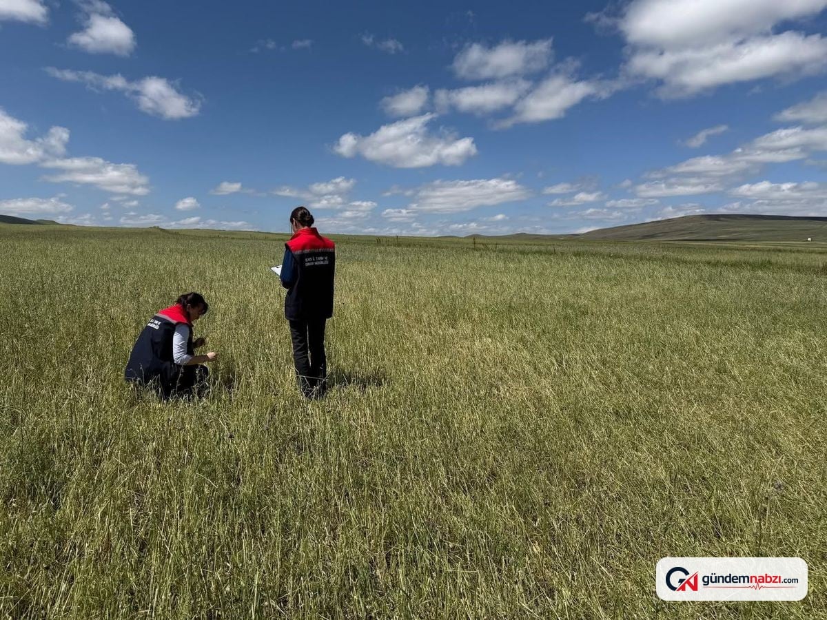 Kars'ta afetzede tarım alanlarında hasar tespiti sürüyor