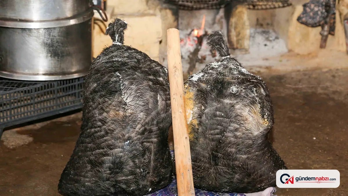 Konya'da asırlık tuluk peyniri mağaralarda olgunlaşıyor