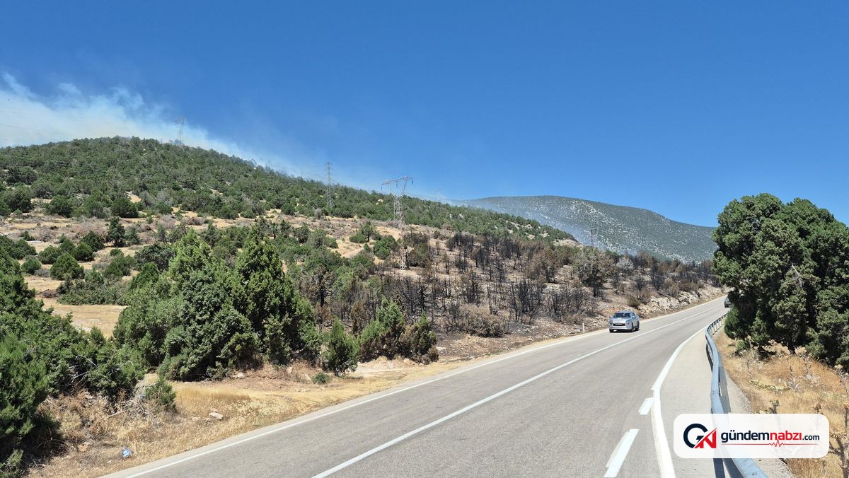 Isparta'da Eğirdir gölü kıyısında iki ayrı yangın çıktı