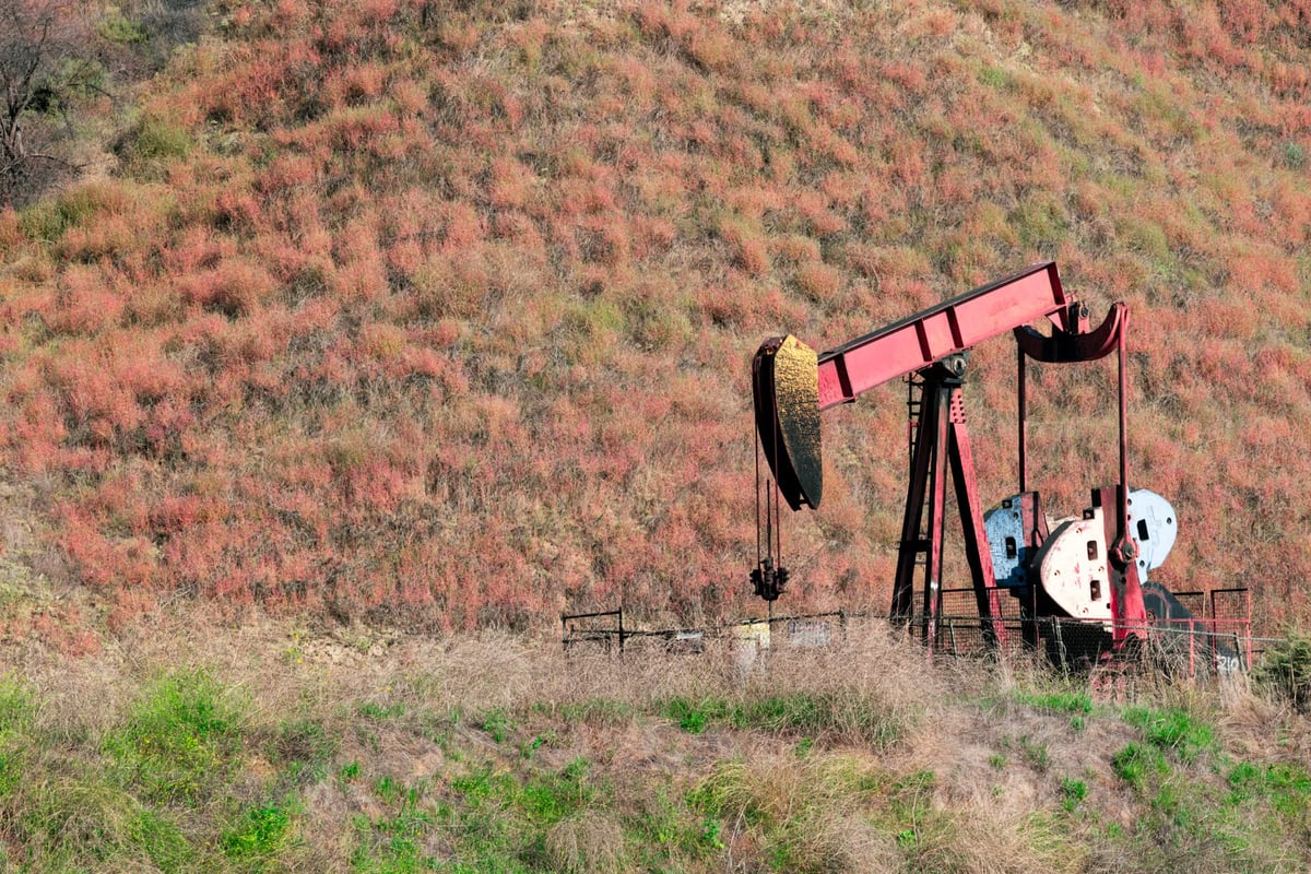 Citi'den rapor: Altın ve petrolde büyük fiyat dalgalanmaları bekleniyor
