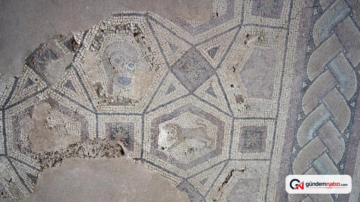 Kastamonu'da 1800 yıllık Roma villasının mozaikleri kurtarılıyor