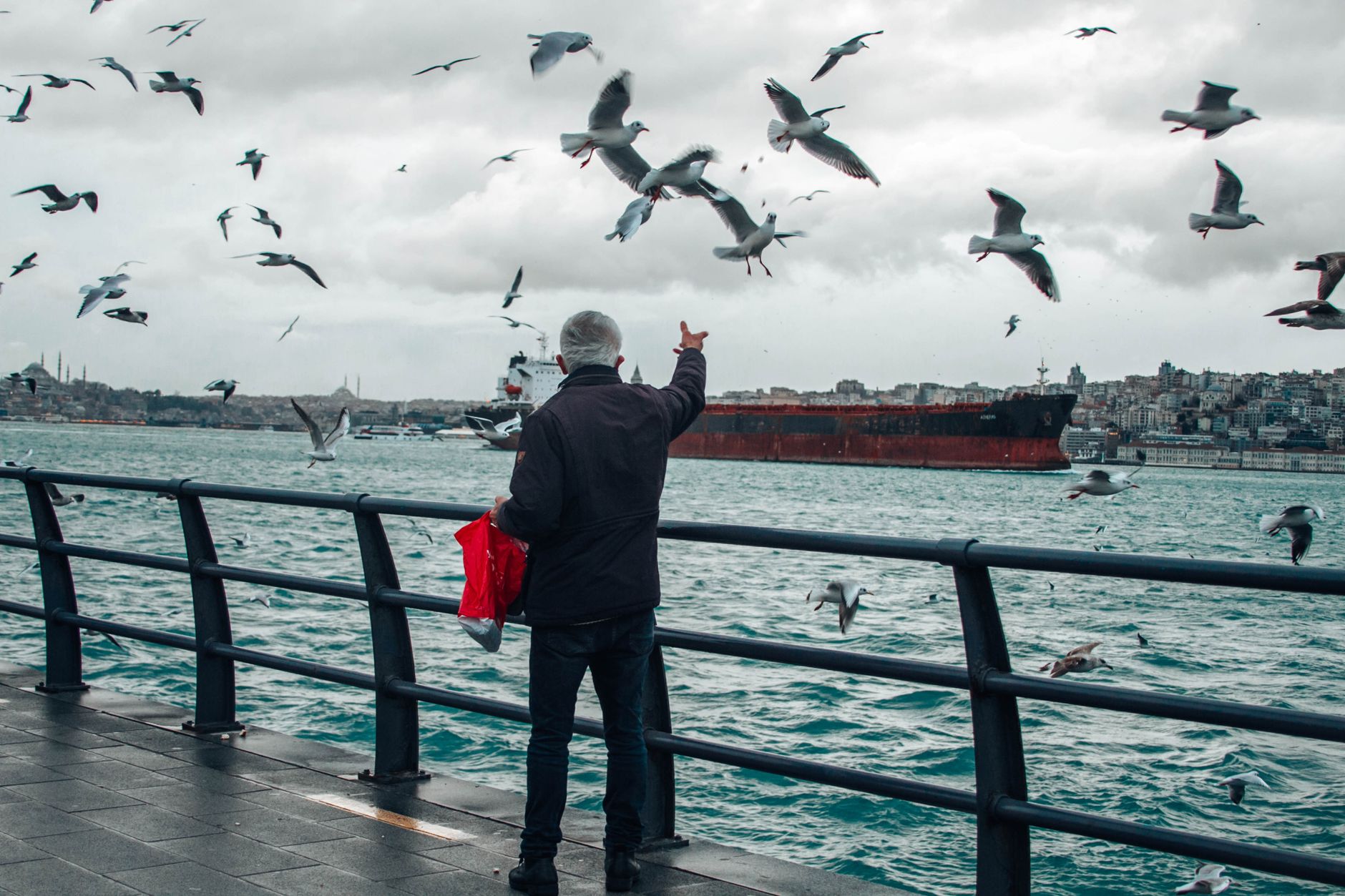 Üsküdar'da martılara saldıran kişi yakalandı