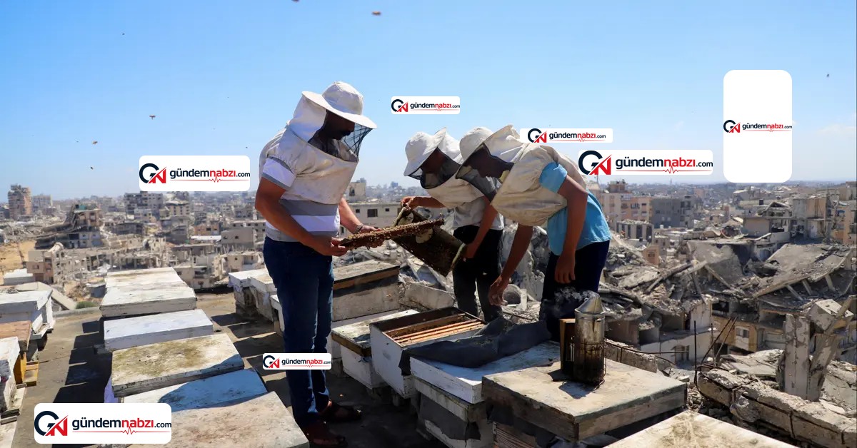 Gazze'de bal üretimi bitti: 30 bin kovandan 700'ü kaldı