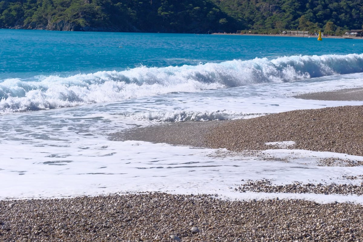 Beykoz ve Sarıyer'de yarın denize giriş yasağı