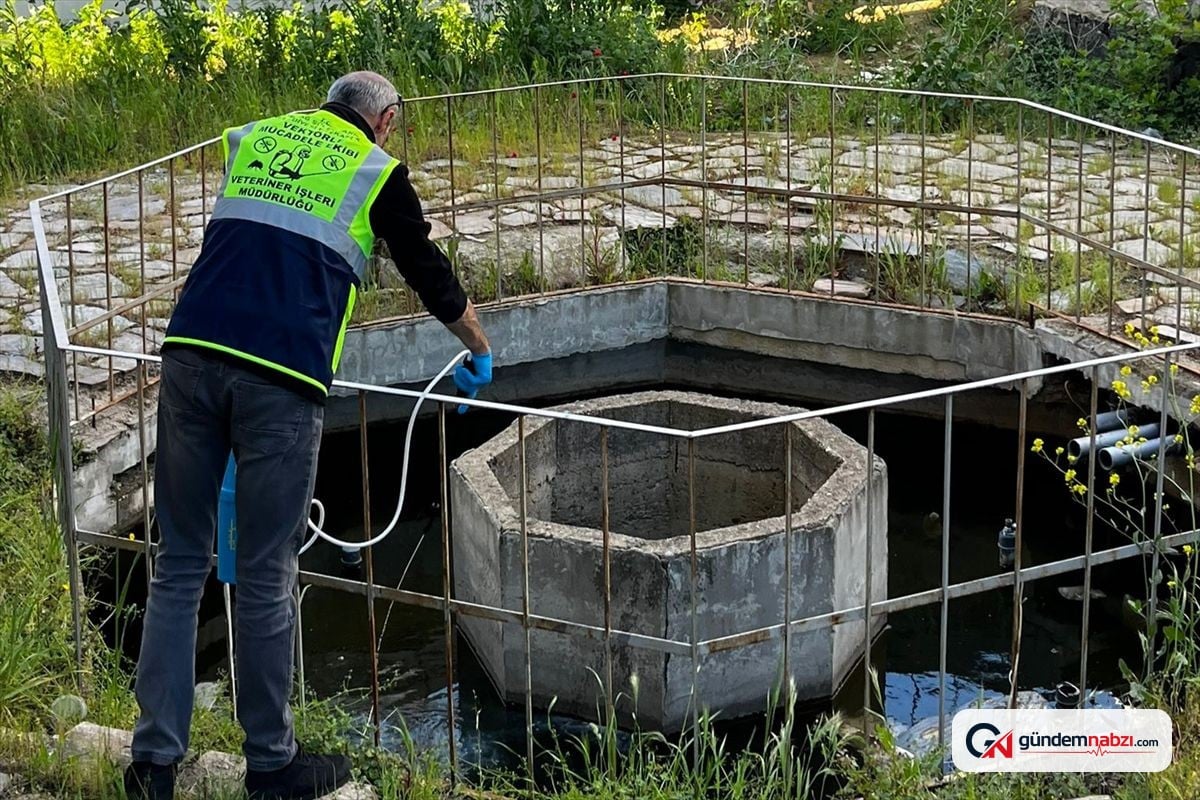 Tekirdağ Süleymanpaşa'da haşere mücadelesi devam ediyor