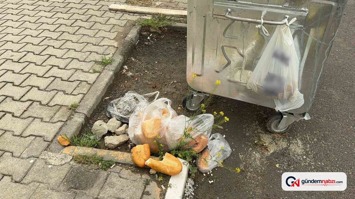 Afyonkarahisar Bolvadin'de boş konteynerlere rağmen çöp ve ekmek israfı