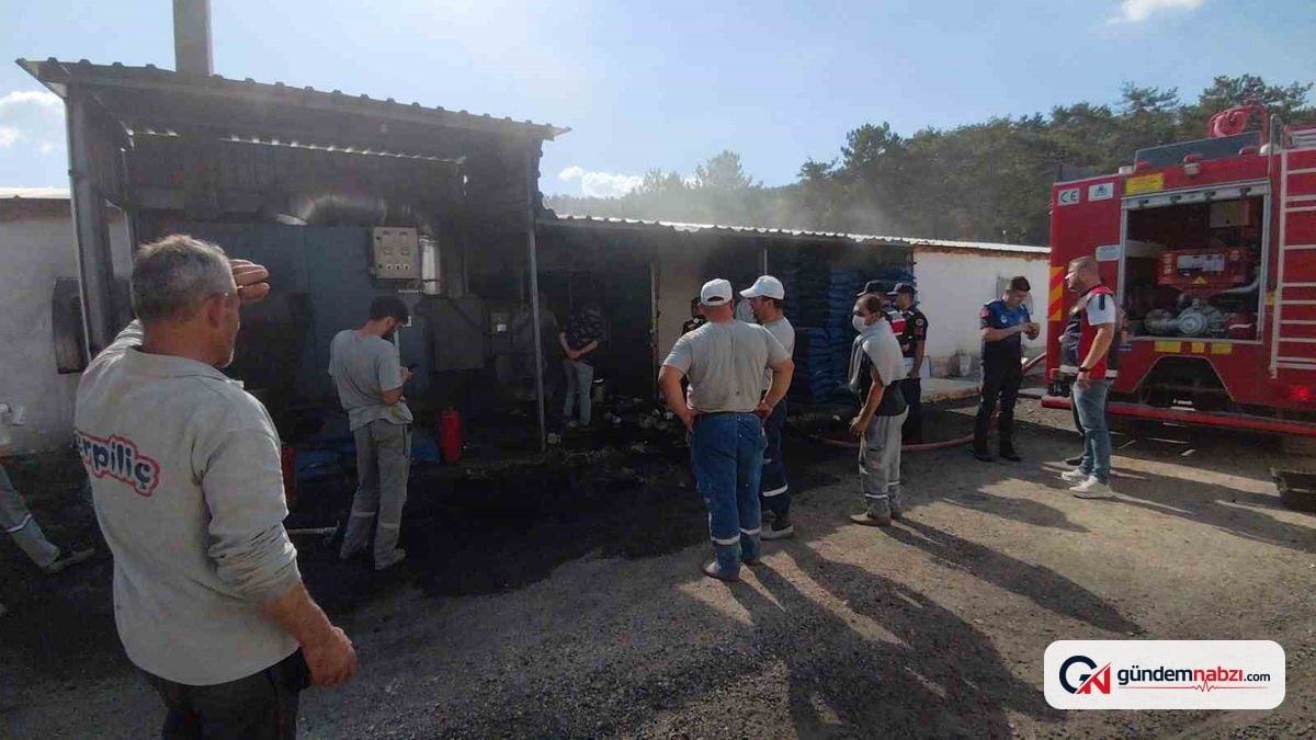 Bolu'da Erpiliç kümeslerinde yangın paniği