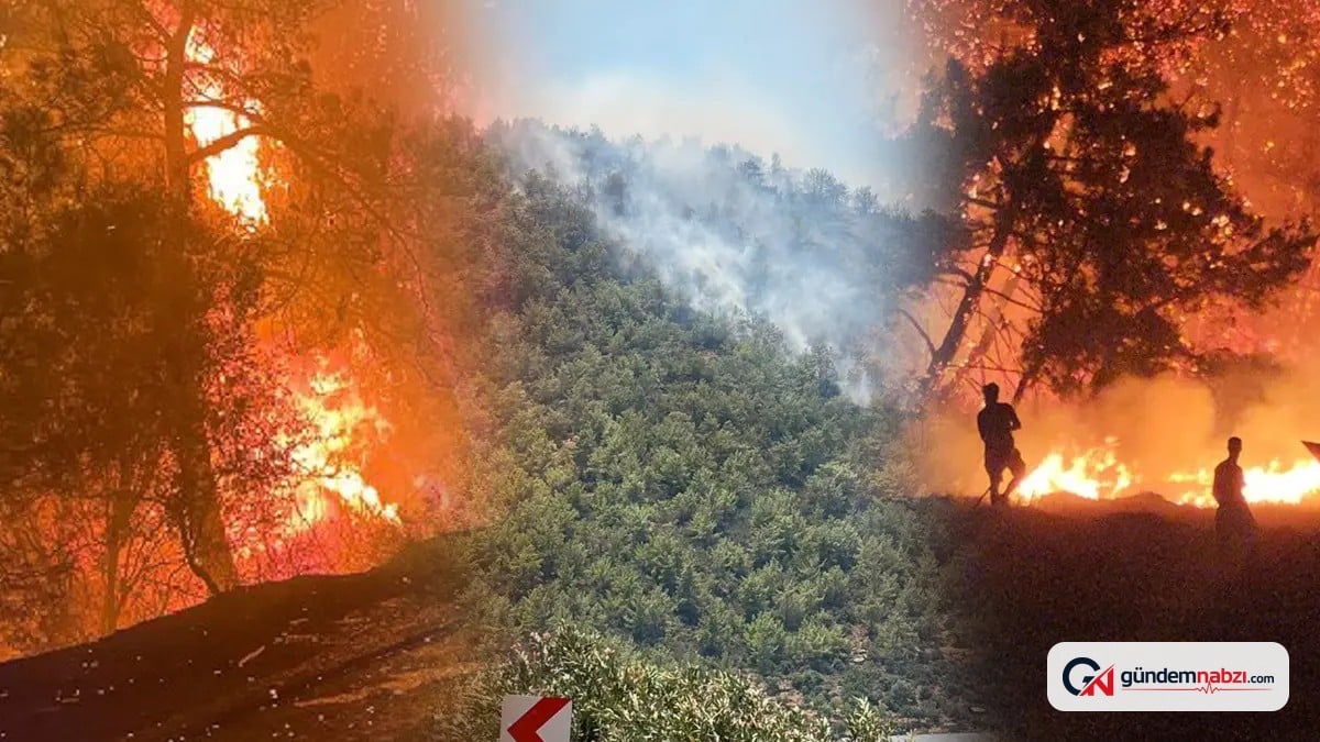Muğla, Antalya, Mersin, Aydın ve Balıkesir'de orman yangınlarıyla mücadele sürüyor