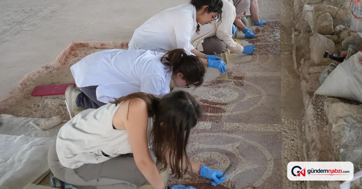 Karadeniz'de Roma villası ve mozaikler ortaya Çıktı