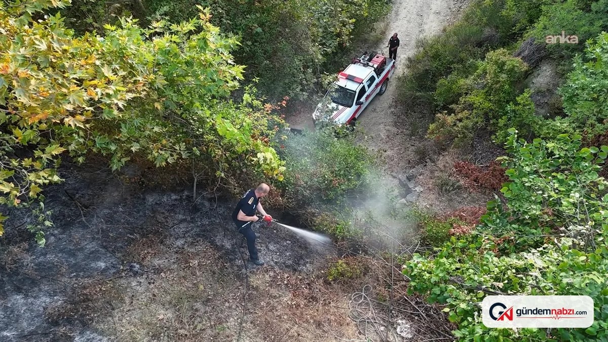 Tekirdağ Malkara'da yangın 3 saatte kontrol altına alındı