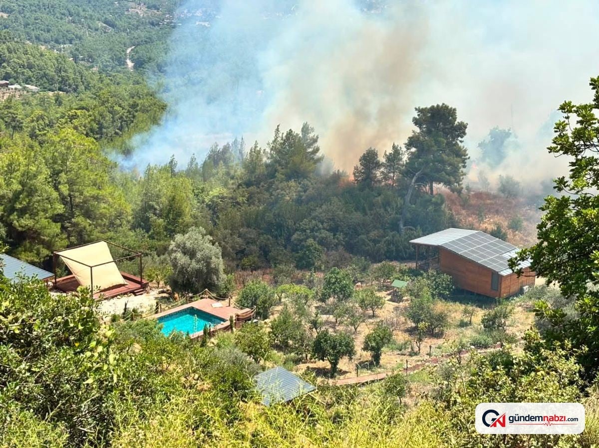 Antalya Kumluca'da orman yangını