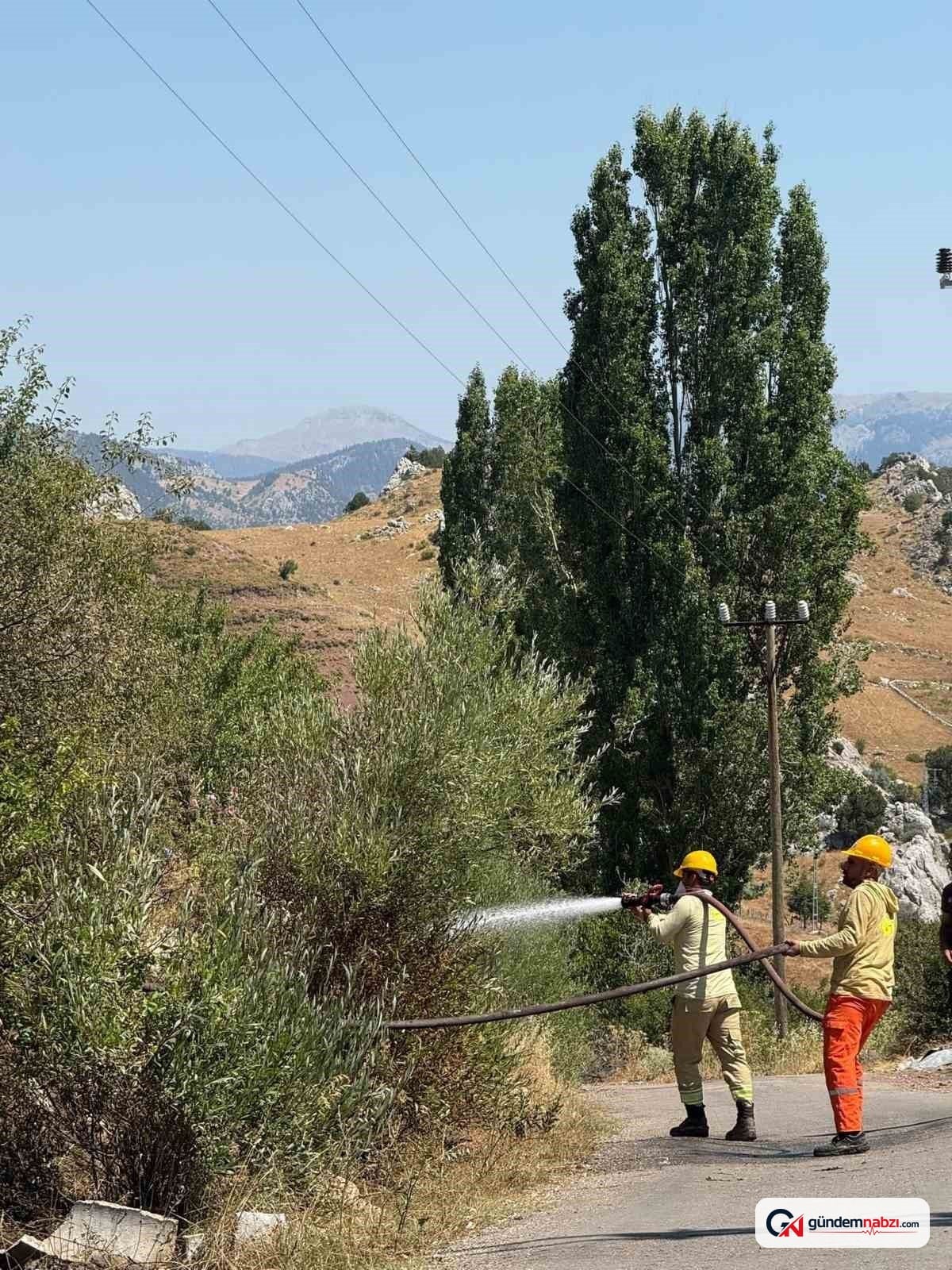 Antalya Alanya'da otluk yangını kontrol altına alındı