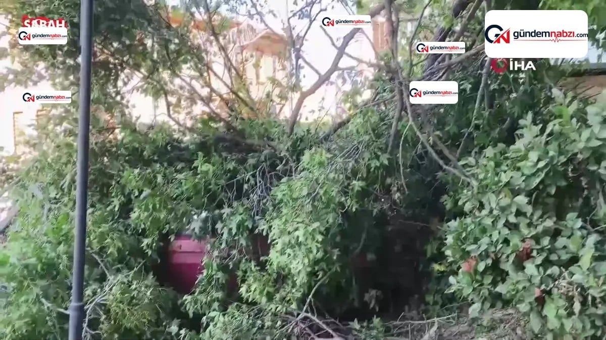 Mersin'de fırtına ağaçları devirdi, tekne kıyıya vurdu