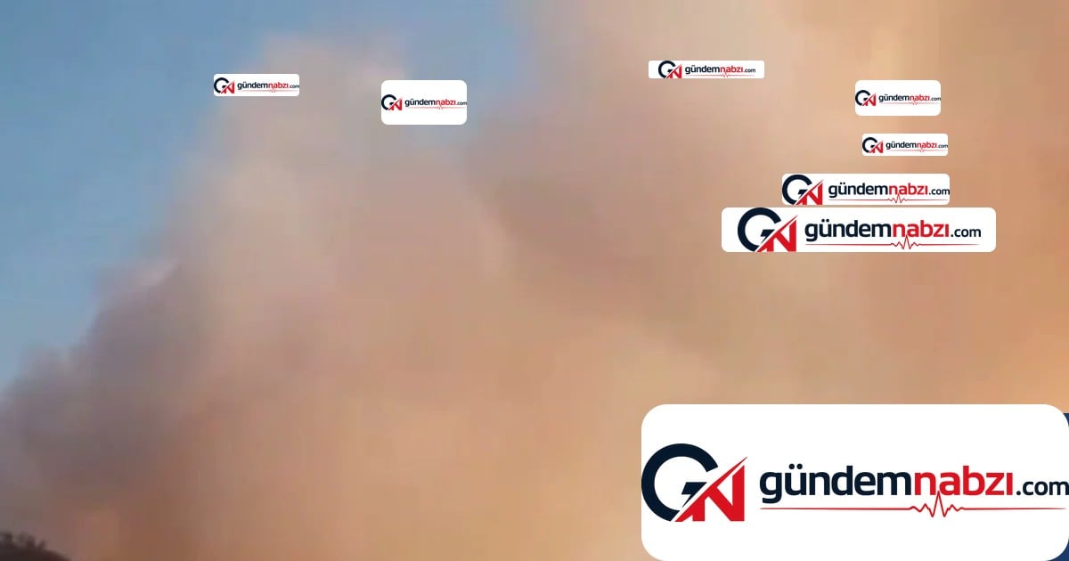 İngiltere'nin Suffolk kentinde büyük orman yangını