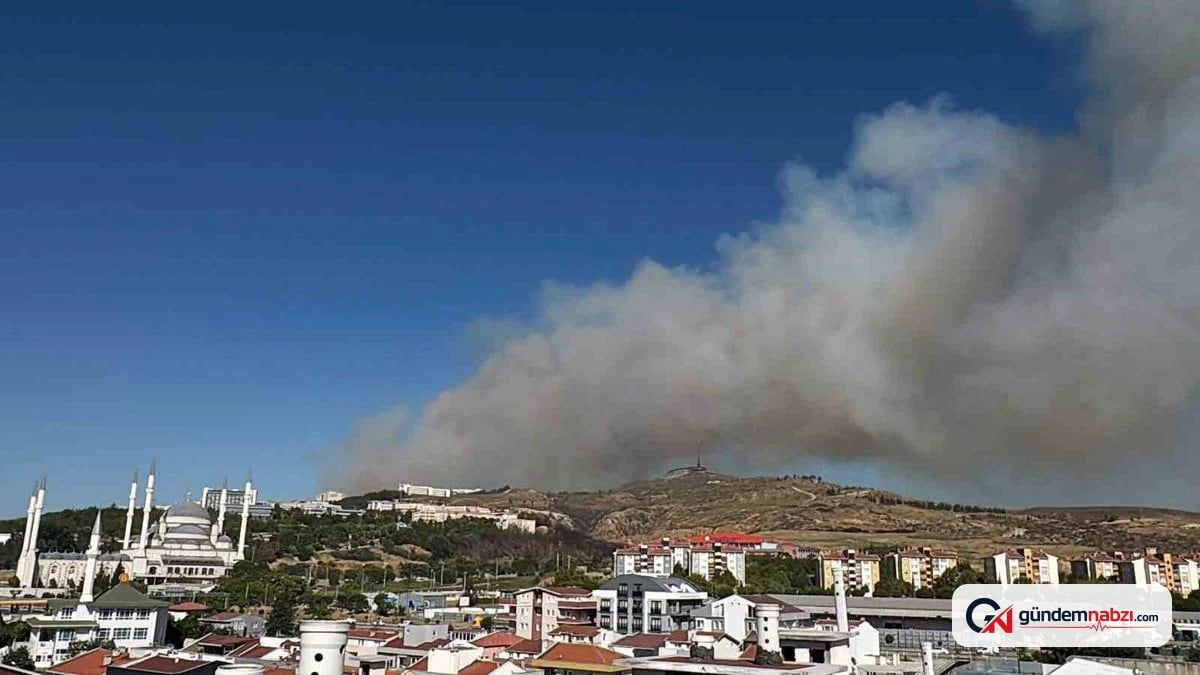 Çanakkale'de ormanlık alanda yangın çıktı