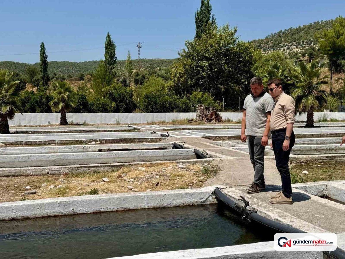 Bozdoğan Kaymakamı Sözen kurum ve işletmeleri ziyaret etti