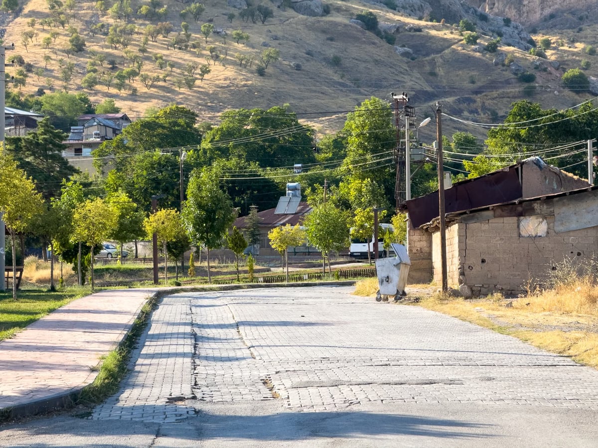 Düzce'de yengesini pompalı tüfekle öldürdü