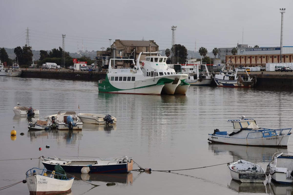 Bab el-Mandeb'te gemi hareketleri yüzde 56 azaldı