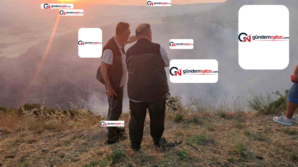 Denizli'de orman yangını uyarısı: Küçücük kıvılcım büyük felaket olur