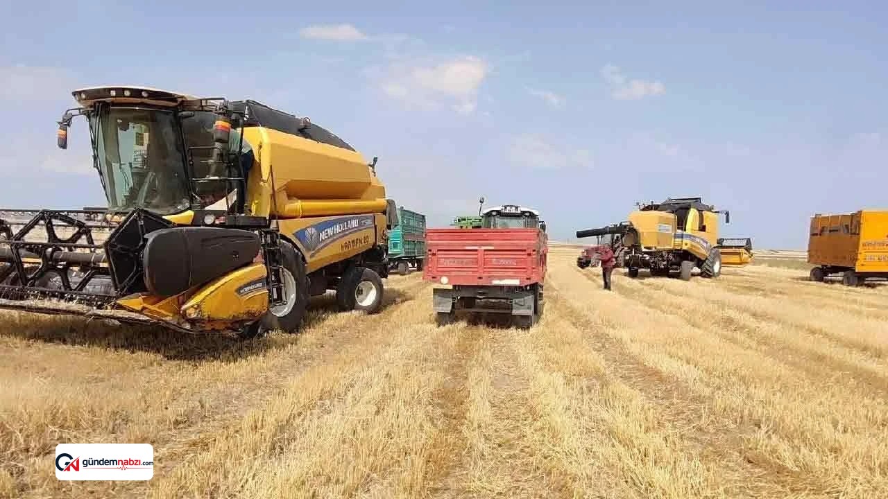 Avrupa Birliği'nden Türk tarım ürünlerine sıkı gıda denetimi