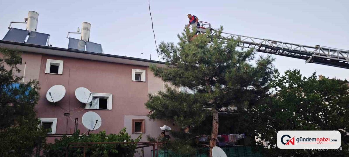 Apartman çatısında mahsur kalan kedi kurtarıldı
