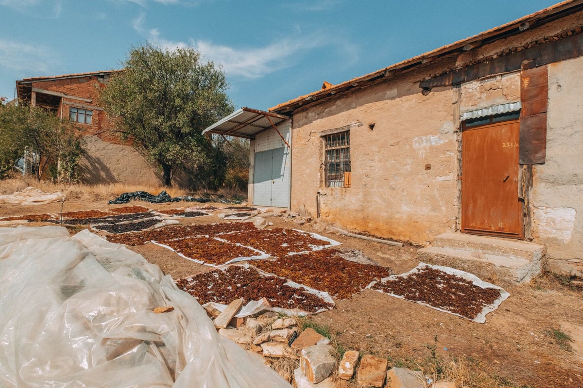 Doğal dut pekmezi ile ata mirasını yaşatıyorlar