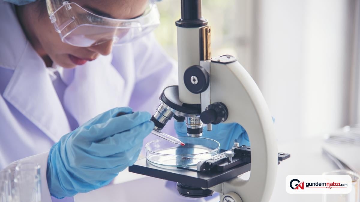 Beta-glucano, kanserle mücadelede bağışıklığı güçlendirebilir