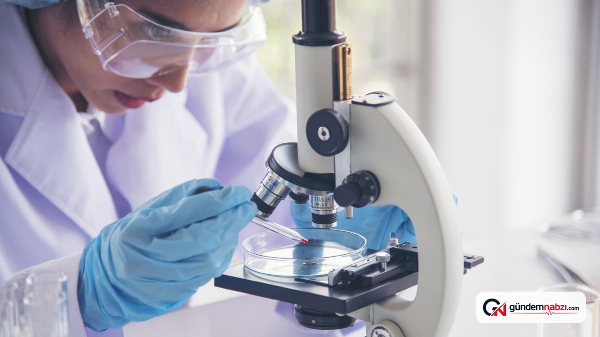Beta-glucano, kanserle mücadelede bağışıklığı güçlendirebilir
