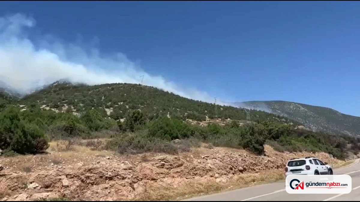 Isparta Eğirdir'de orman yangını söndürüldü
