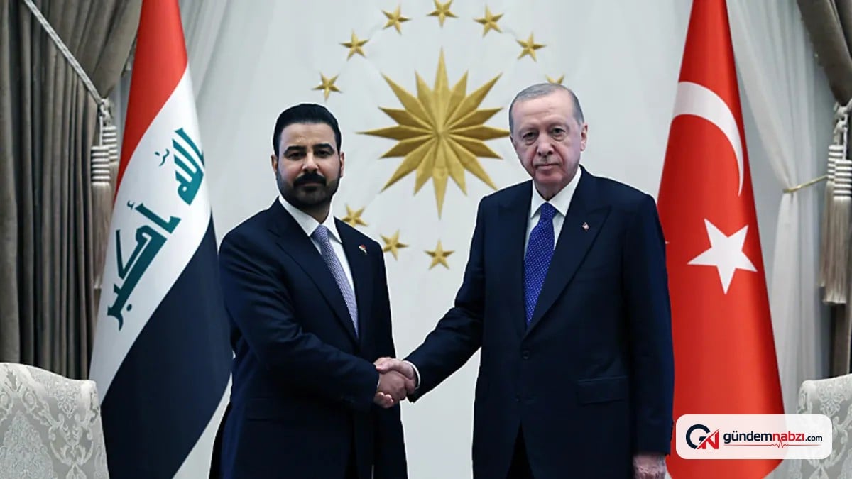 Erdoğan ve Ali Zeydi ortak basın toplantısı düzenledi