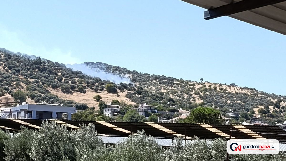 Aydın'da zirai alanda yangın çıktı