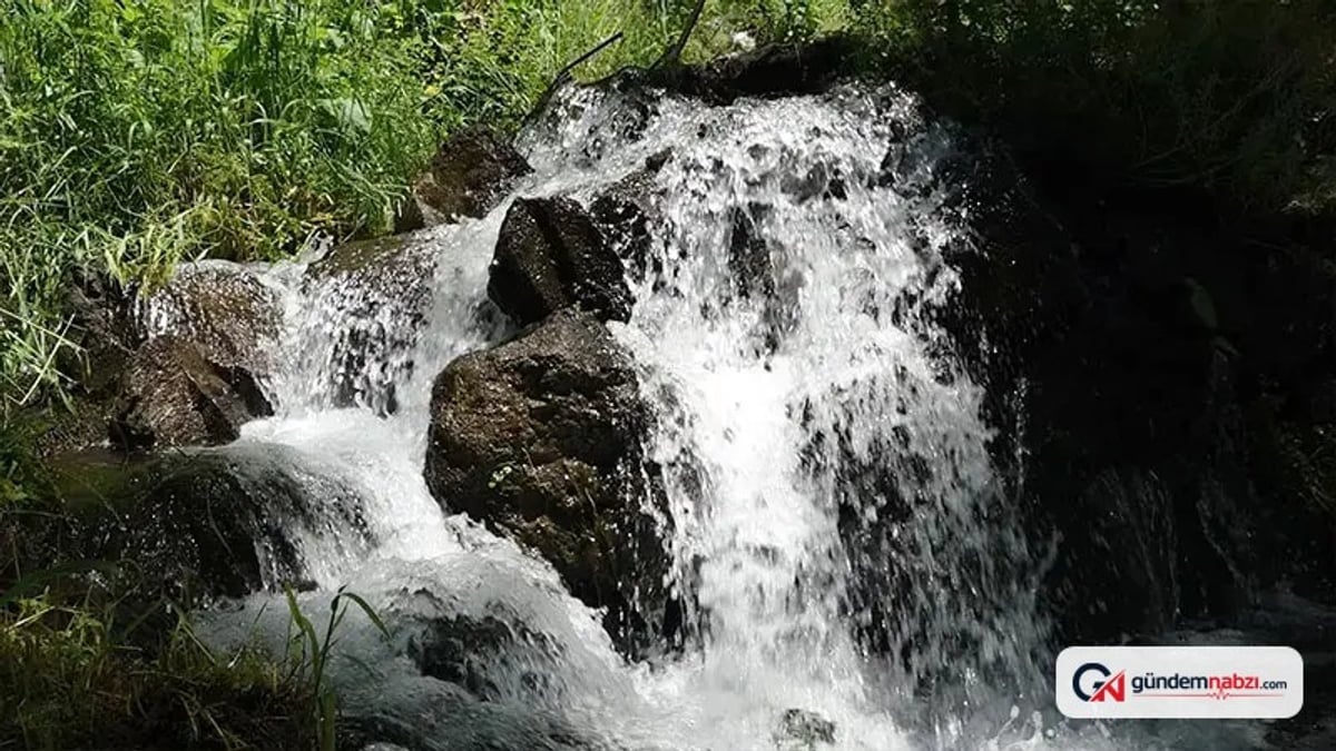 Trabzon'da 300 yıllık kaynak suyu saniyede 120 litre akıyor