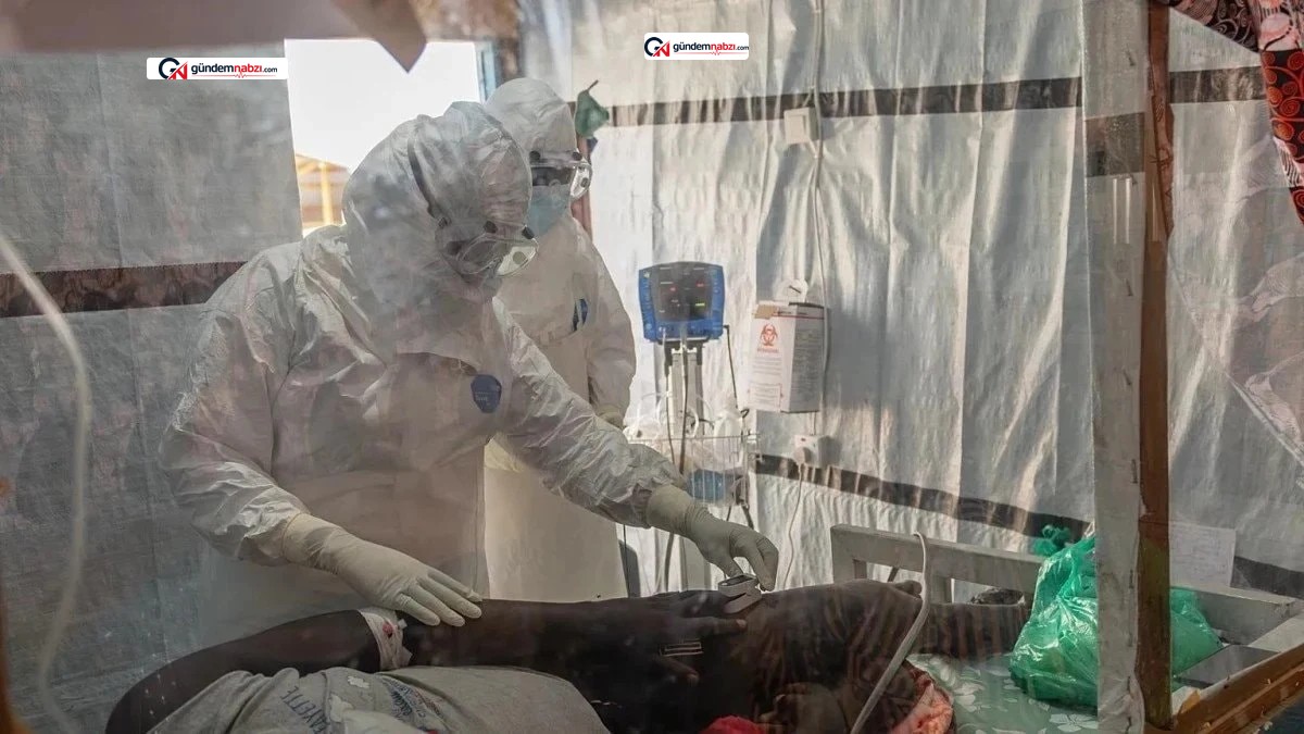 Kongo'da Ebola salgını: 10 milyon insan açlık riski altında