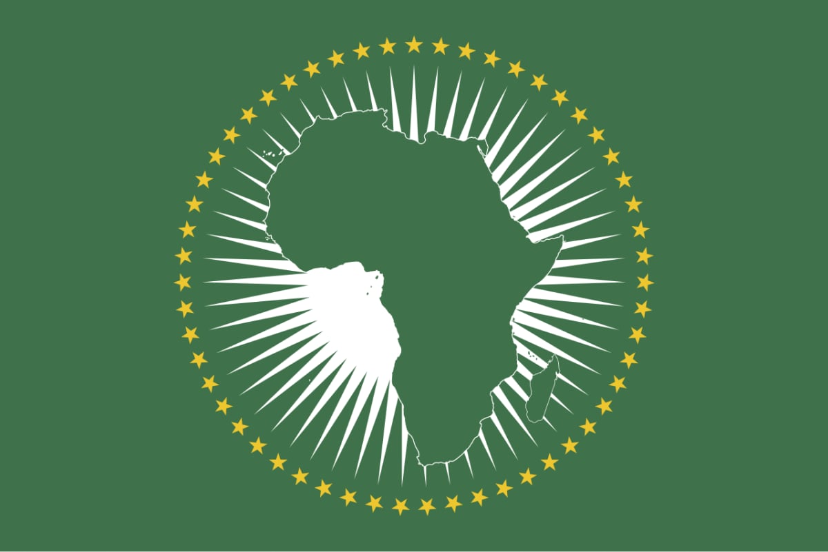Güney Afrika'dan Afrika Birliği'ne göç konferansı çağrısı