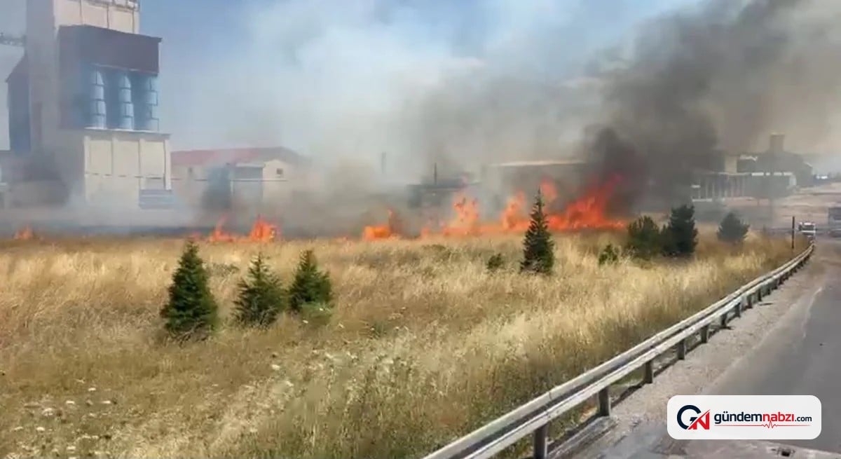 Afyonkarahisar'da anız yangını trafiği aksattı